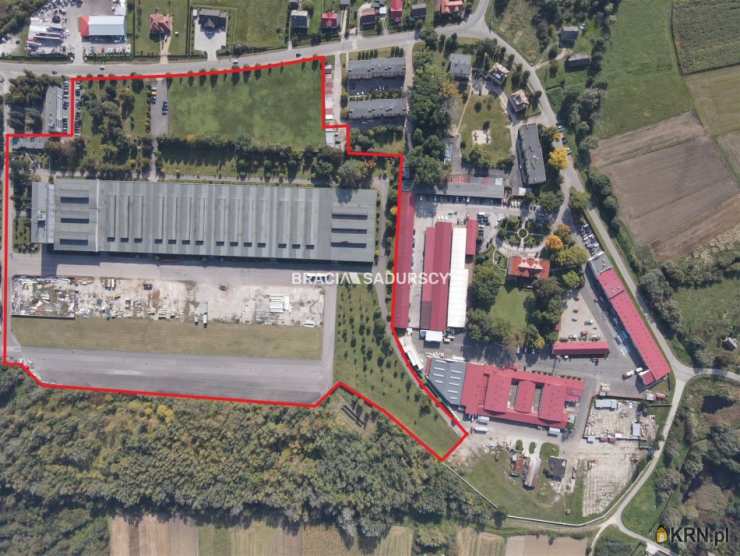 Szczucin, ul. Piłsudskiego, , Lokal użytkowy  na sprzedaż