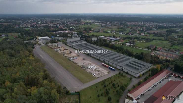 Bracia Sadurscy Oddział BS3 Przewóz, Lokal użytkowy  na sprzedaż, Szczucin, ul. Piłsudskiego