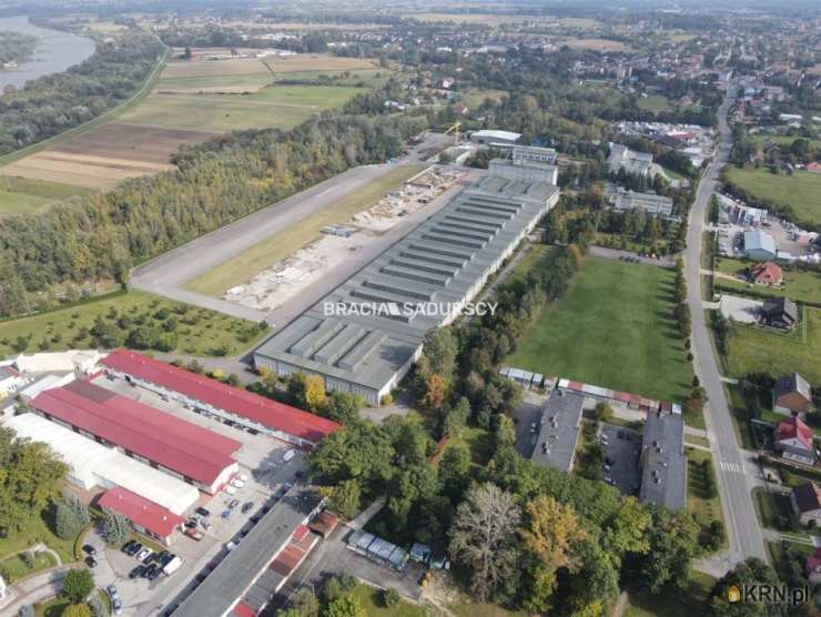 Lokal użytkowy  na sprzedaż, , Szczucin, ul. Piłsudskiego