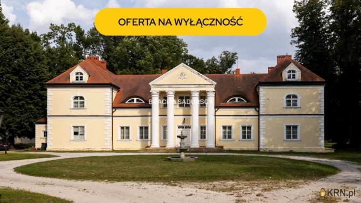 Lokal użytkowy  na sprzedaż, Radoszewnica, ul. Koniecpolska, 