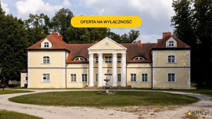 Lokal użytkowy  na sprzedaż, Radoszewnica, ul. Koniecpolska, 