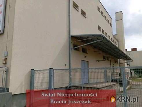 Lokal użytkowy  do wynajęcia, , Strzelin, ul. 