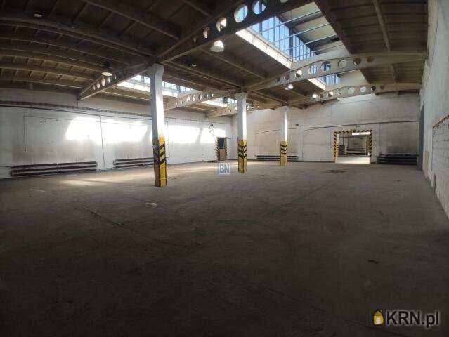 Lokal użytkowy  do wynajęcia, Gliwice, ul. , 10 pokojowe