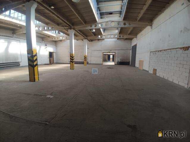 Lokal użytkowy  do wynajęcia, 10 pokojowe, Gliwice, ul. 