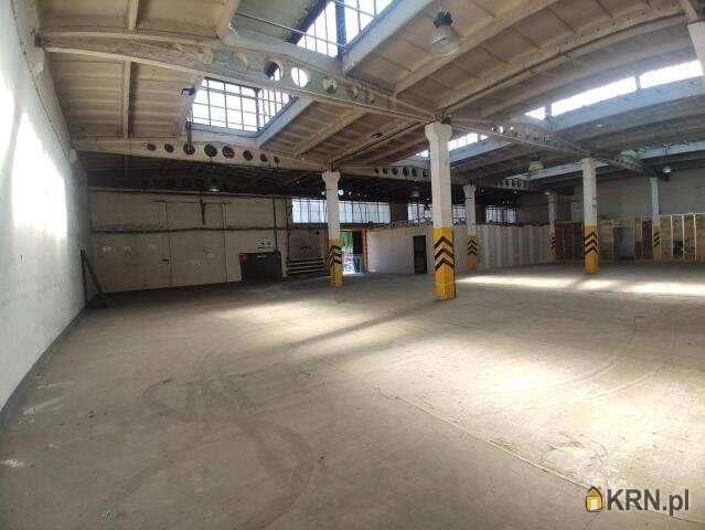 Gliwice, ul. , Lokal użytkowy  do wynajęcia, 10 pokojowe