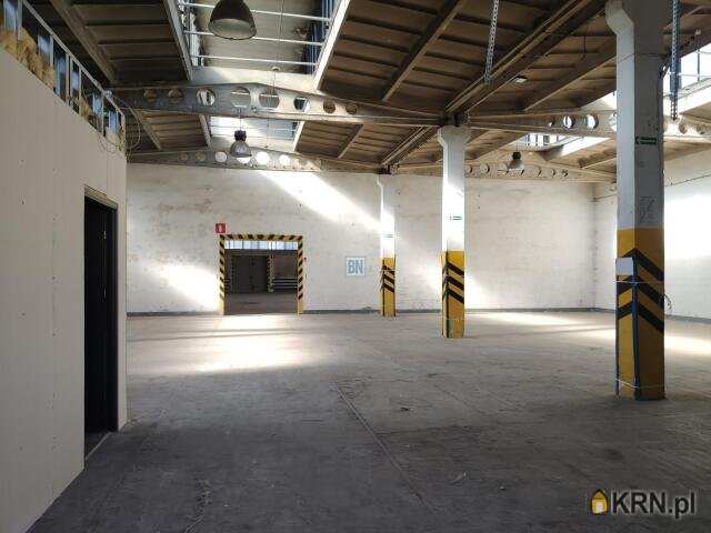 Gliwice, ul. , Lokal użytkowy  do wynajęcia, 10 pokojowe