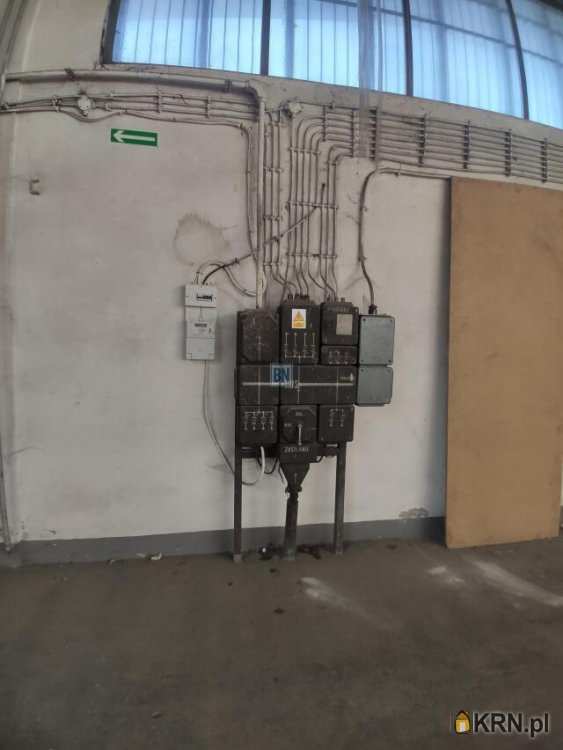 Gliwice, ul. , 10 pokojowe, Lokal użytkowy  do wynajęcia