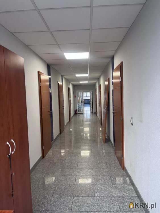 Lokal użytkowy  do wynajęcia, 6 pokojowe, Gliwice, ul. 
