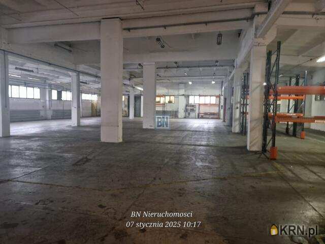 Lokal użytkowy  do wynajęcia, , Bielsko-Biała, ul. 