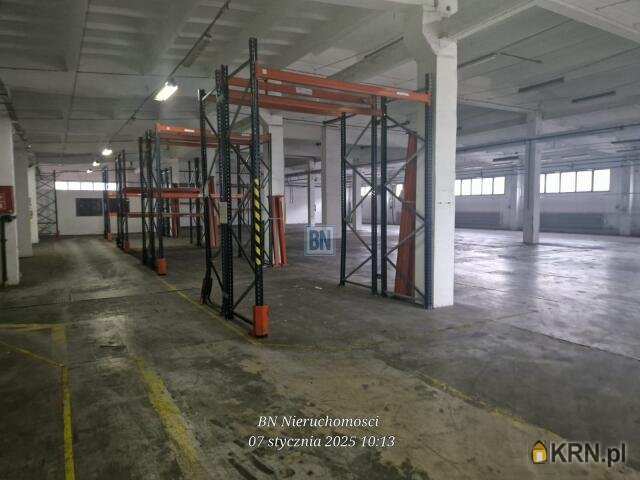 , Bielsko-Biała, ul. , Lokal użytkowy  do wynajęcia