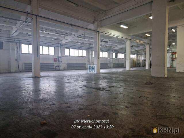 , Bielsko-Biała, ul. , Lokal użytkowy  do wynajęcia