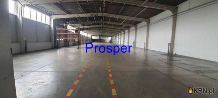 Lokal użytkowy  do wynajęcia, Dąbrowa Górnicza, ul. , 