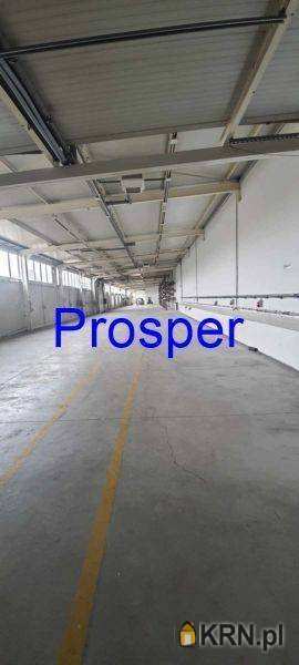 Lokal użytkowy  do wynajęcia, , Dąbrowa Górnicza, ul. 