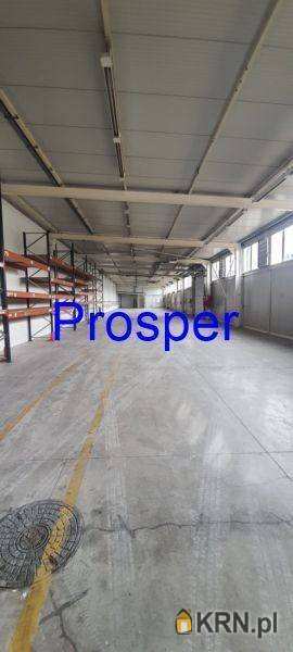 Dąbrowa Górnicza, ul. , Lokal użytkowy  do wynajęcia, 