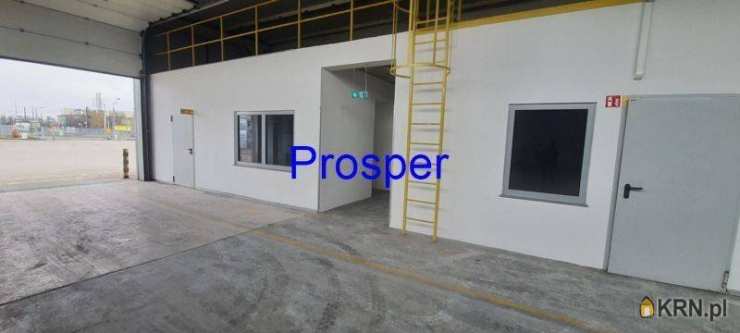 , Dąbrowa Górnicza, ul. , Lokal użytkowy  do wynajęcia