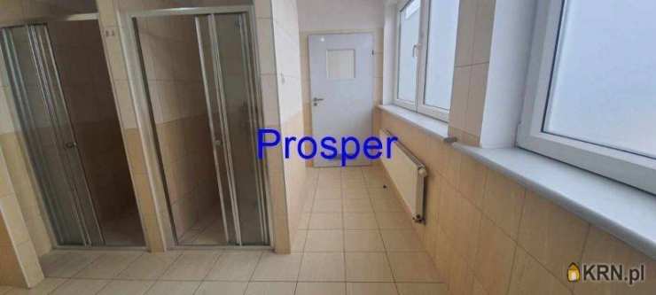 Lokal użytkowy  do wynajęcia, , Dąbrowa Górnicza, ul. 