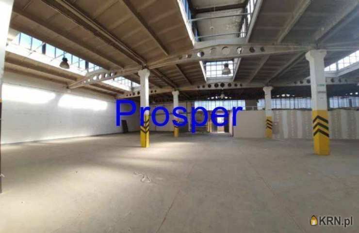 Lokal użytkowy  do wynajęcia, Gliwice, ul. , 