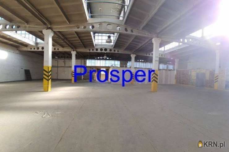 Gliwice, ul. , Lokal użytkowy  do wynajęcia, 