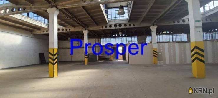 Gliwice, ul. , , Lokal użytkowy  do wynajęcia