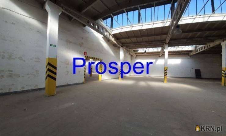 Lokal użytkowy  do wynajęcia, , Gliwice, ul. 