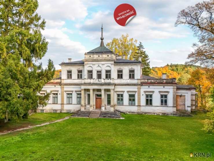 Lokal użytkowy  na sprzedaż, Sancygniów, ul. , 