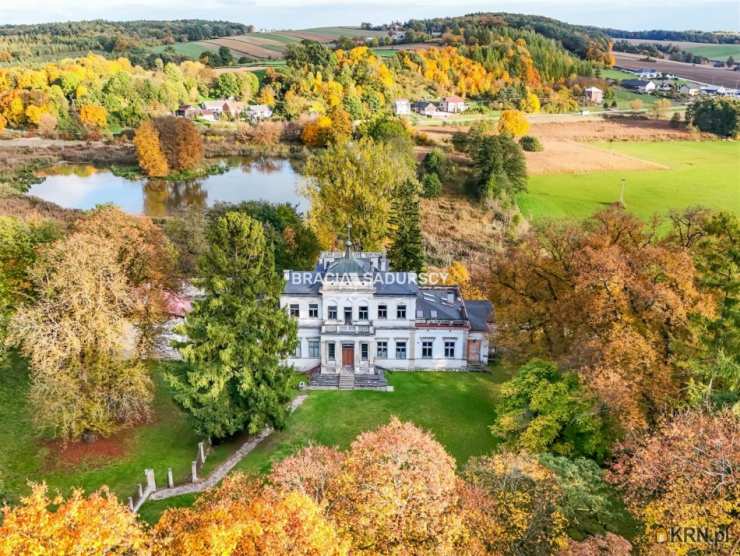 Lokal użytkowy  na sprzedaż, Sancygniów, ul. , 