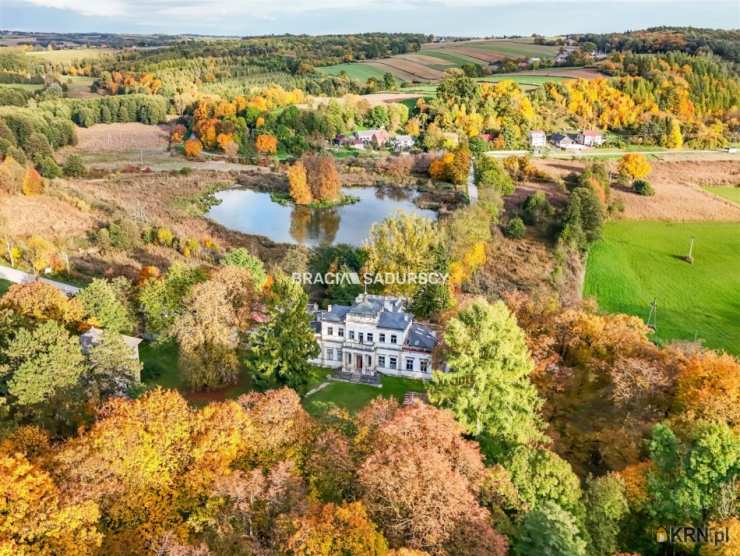 Bracia Sadurscy Oddział BS2 Rynek Pierwotny, Lokal użytkowy  na sprzedaż, Sancygniów, ul. 
