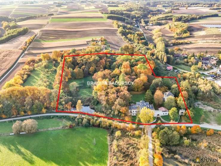 Sancygniów, ul. , Lokal użytkowy  na sprzedaż, 