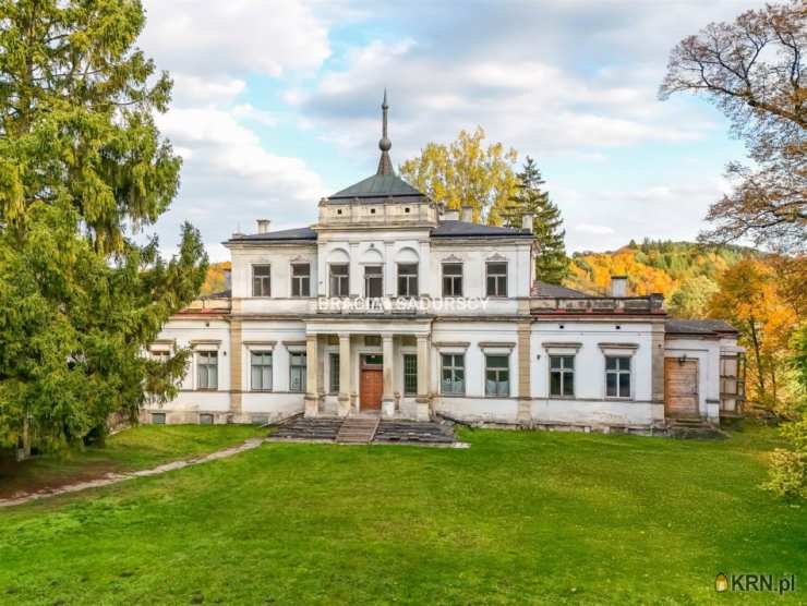 Lokal użytkowy  na sprzedaż, Sancygniów, ul. , 