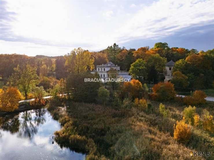 Sancygniów, ul. , Lokal użytkowy  na sprzedaż, 