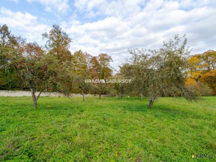Bracia Sadurscy Oddział BS2 Rynek Pierwotny, Lokal użytkowy  na sprzedaż, Sancygniów, ul. 