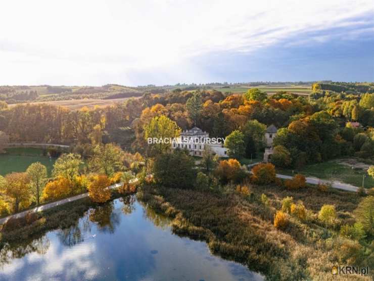 Sancygniów, ul. , , Lokal użytkowy  na sprzedaż