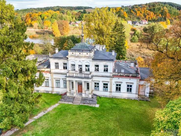 Lokal użytkowy  na sprzedaż, , Sancygniów, ul. 