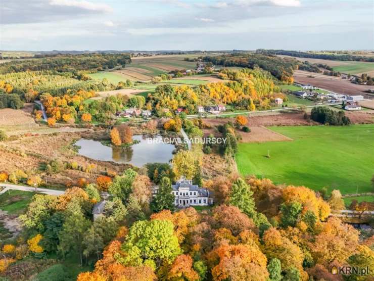 Lokal użytkowy  na sprzedaż, , Sancygniów, ul. 