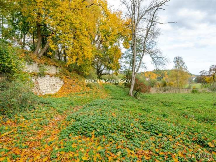 , Lokal użytkowy  na sprzedaż, Sancygniów, ul. 