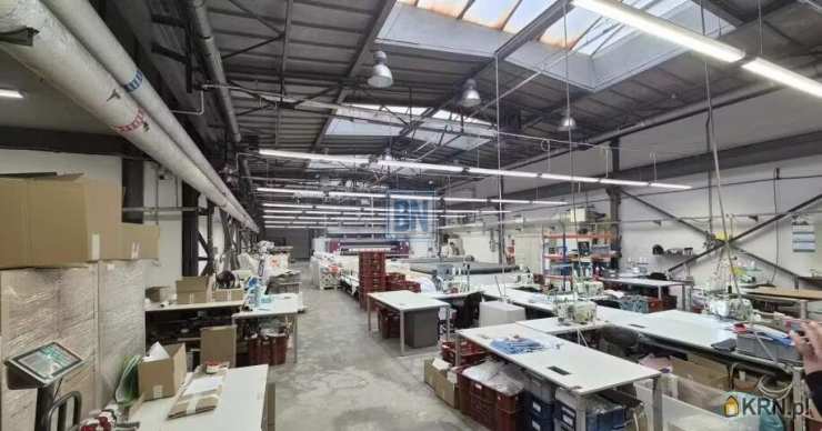 Lokal użytkowy  do wynajęcia, Gliwice, ul. , 