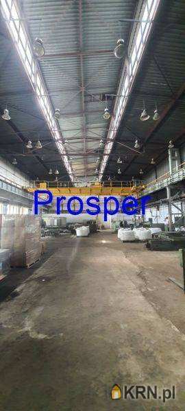 Lokal użytkowy  do wynajęcia, Katowice, ul. , 