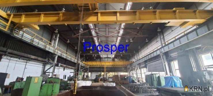 Lokal użytkowy  do wynajęcia, , Katowice, ul. 