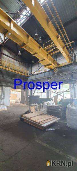 Katowice, ul. , Lokal użytkowy  do wynajęcia, 