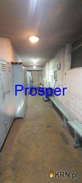 Prosper - Nieruchomości, Lokal użytkowy  do wynajęcia, Katowice, ul. 
