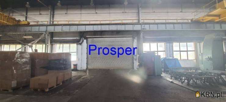 Lokal użytkowy  do wynajęcia, Katowice, ul. , 