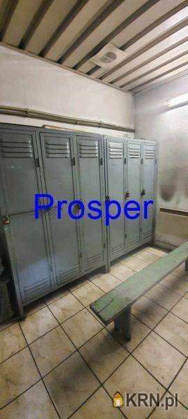 Katowice, ul. , Lokal użytkowy  do wynajęcia, 