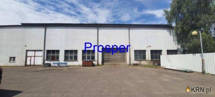 Katowice, ul. , , Lokal użytkowy  do wynajęcia