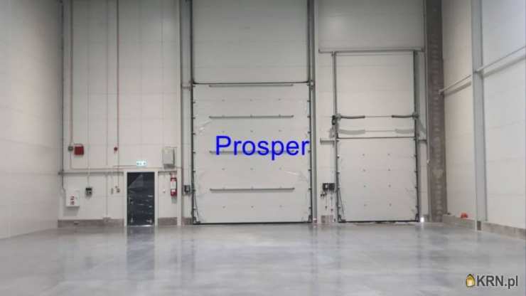 Ruda Śląska, ul. , , Lokal użytkowy  do wynajęcia