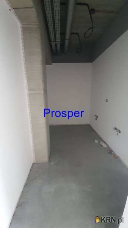 Lokal użytkowy  do wynajęcia, , Ruda Śląska, ul. 