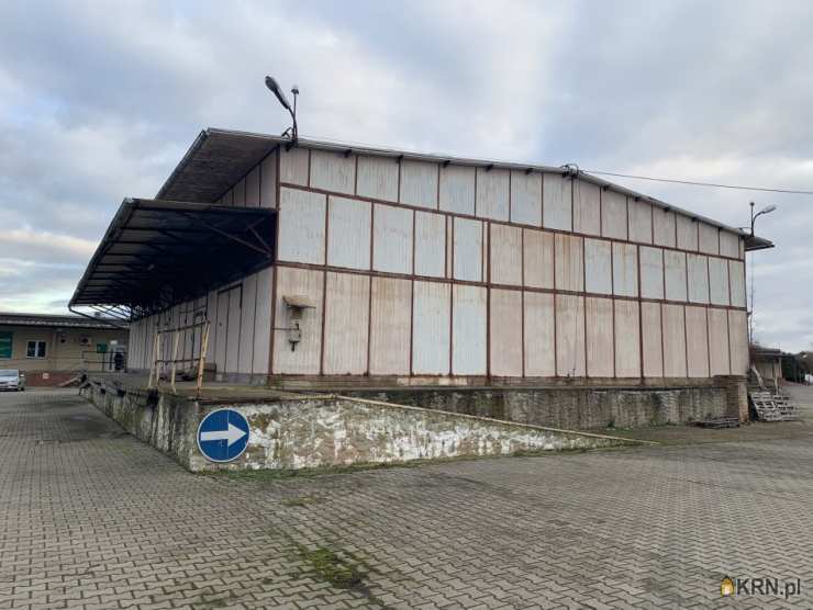 Szczecin, ul. Hangarowa, Lokal użytkowy  do wynajęcia, 