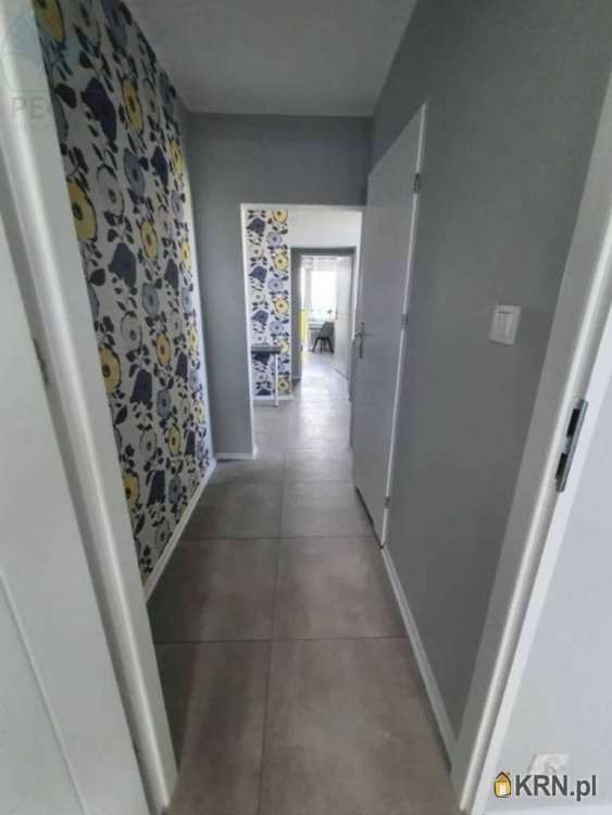 6 pokojowe, Poznań, Stare Miasto/Piątkowo, ul. , Mieszkanie  do wynajęcia