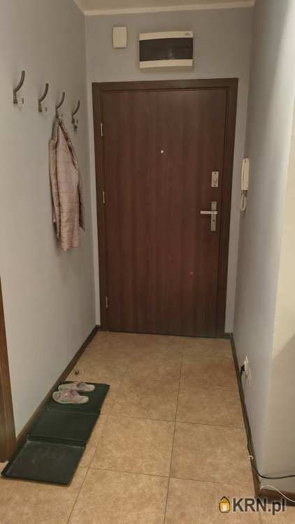 Mieszkanie  do wynajęcia, Poznań, ul. , 4 pokojowe