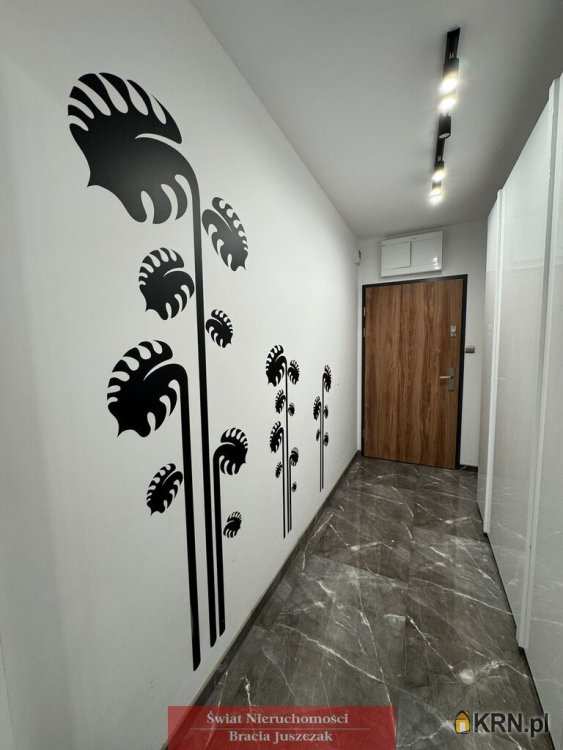 Świat Nieruchomości, Mieszkanie  do wynajęcia, Wrocław, ul. 