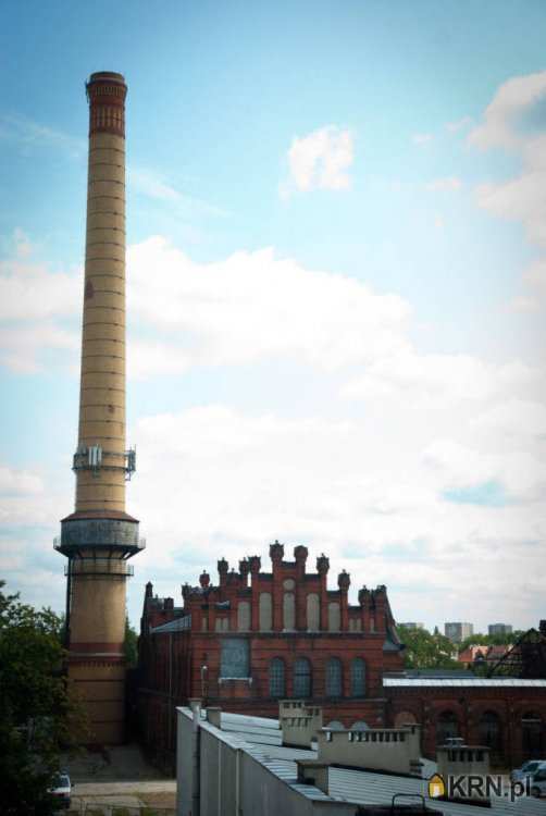 Poznań, Stare Miasto, ul. Grobla, Mieszkanie  do wynajęcia, 4 pokojowe